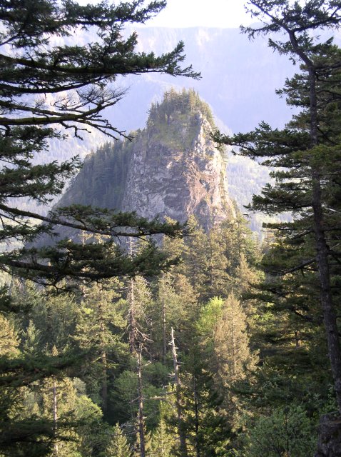 4.30.06 Hamilton Mountain 119 